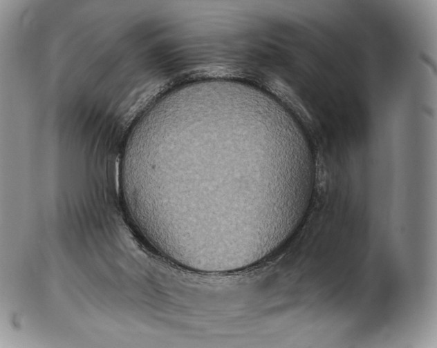 X0000102810014200809021209