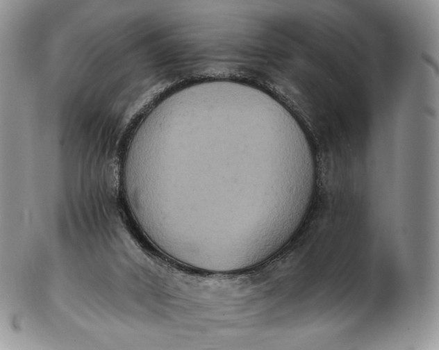 X0000102810016200809021209