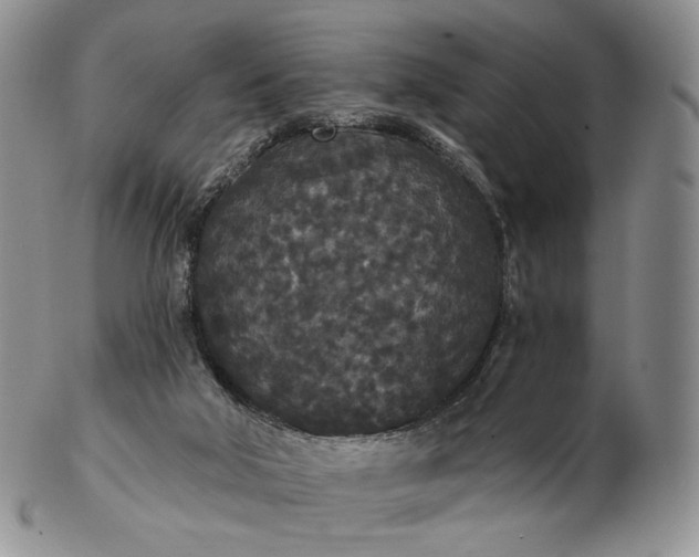 X0000102810018200809021208