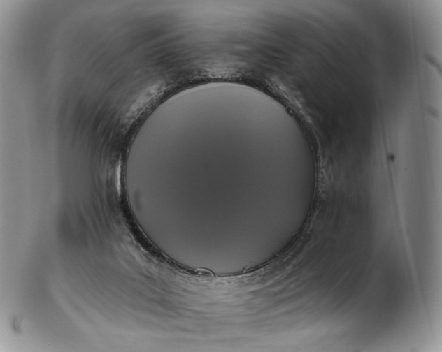 X0000102810019200809021208