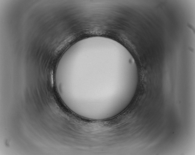 X0000102810020200809021208