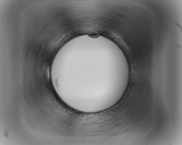 X0000102810021200809021208