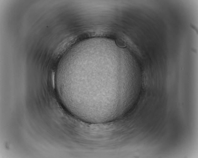 X0000102810022200809021208