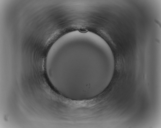 X0000102810023200809021208