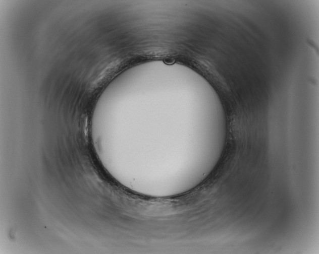 X0000102810024200809021208