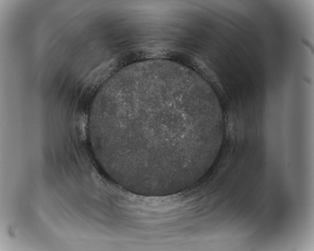 X0000102810026200809021208