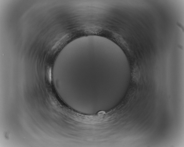 X0000102810027200809021208