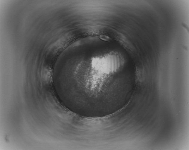 X0000102810029200809021208