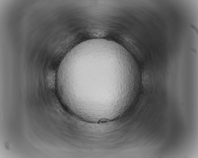 X0000102810030200809021208