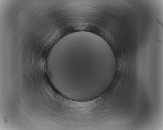 X0000102810031200809021208