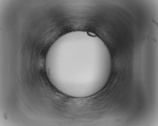 X0000102810033200809021208