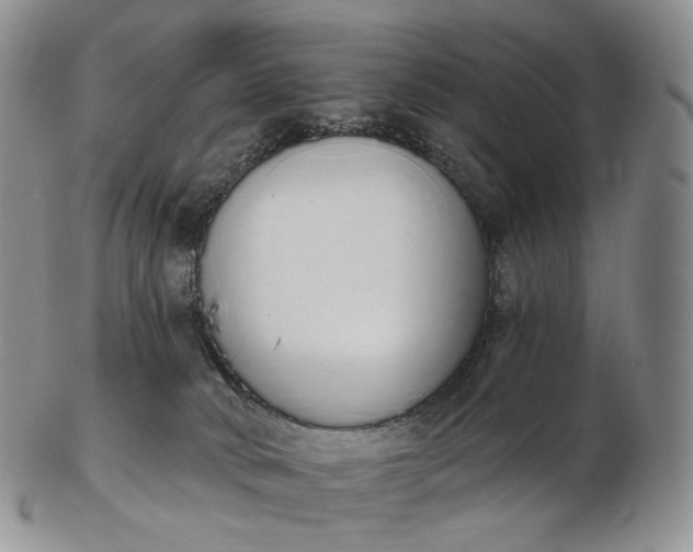 X0000102810034200809021208