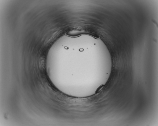 X0000102810036200809021208