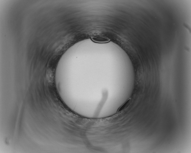 X0000102810037200809021208