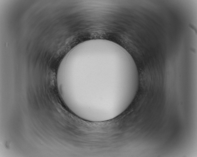 X0000102810038200809021208