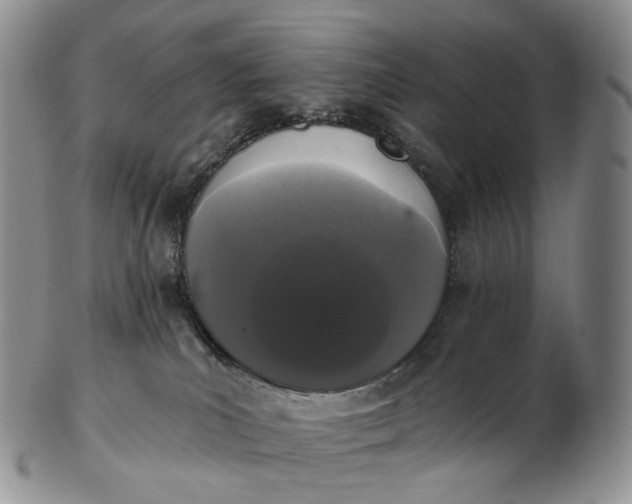 X0000102810039200809021208