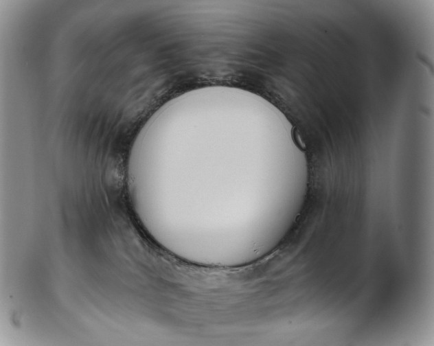 X0000102810040200809021208