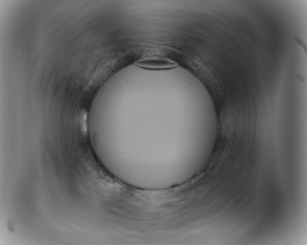 X0000102810041200809021208