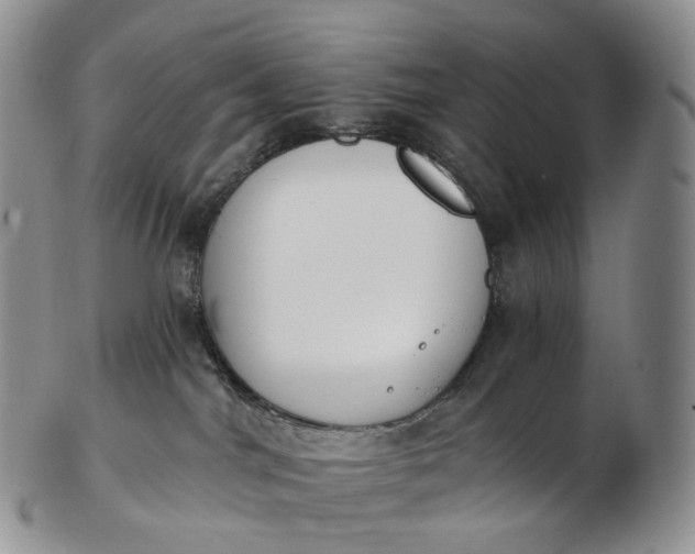 X0000102810044200809021208