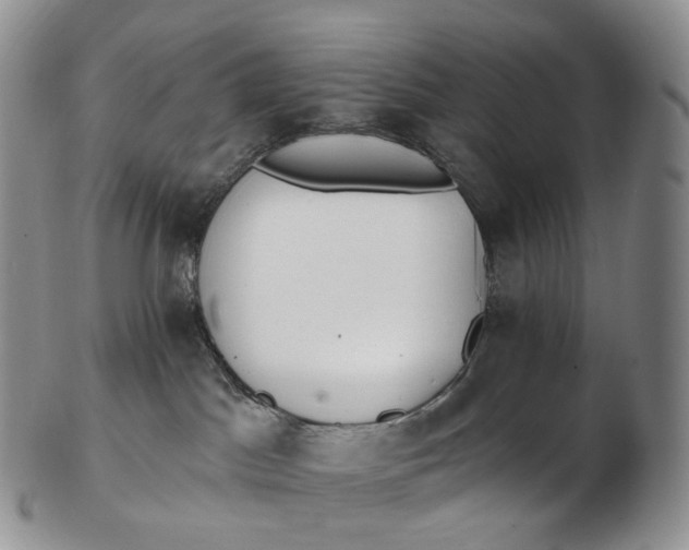 X0000102810045200809021208