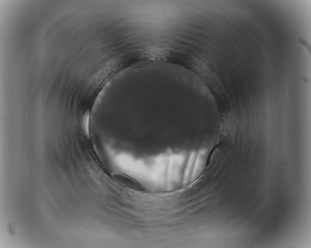 X0000102810047200809021208