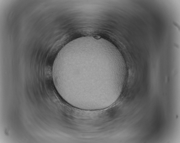 X0000102810048200809021208