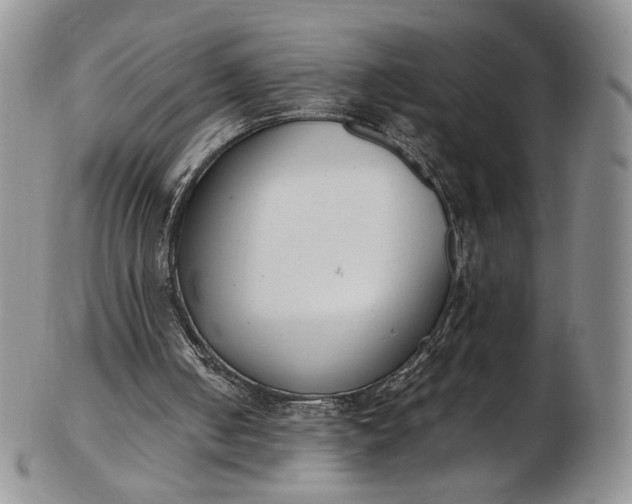 X0000102810050200809021207