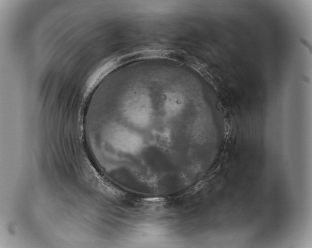 X0000102810053200809021207