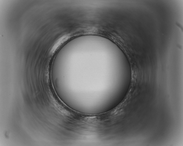 X0000102810054200809021207