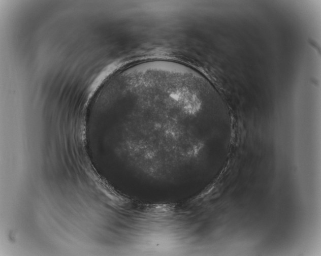 X0000102810056200809021208