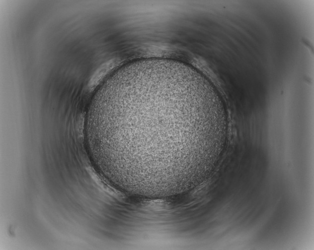 X0000102810058200809021208