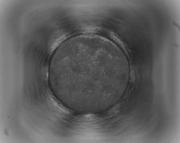 X0000102810059200809021208