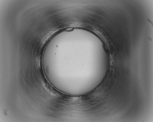 X0000102810060200809021208