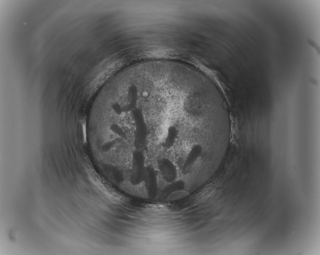 X0000102810061200809021208