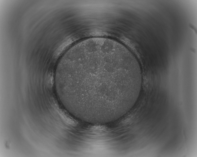 X0000102810063200809021208