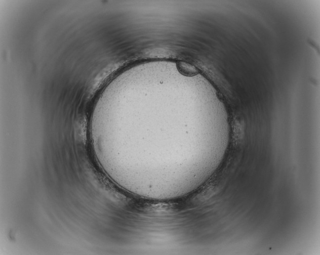 X0000102810064200809021208