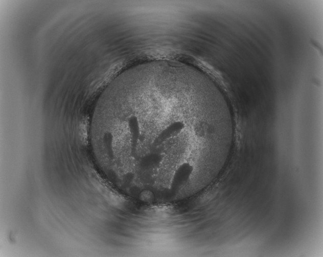 X0000102810065200809021208