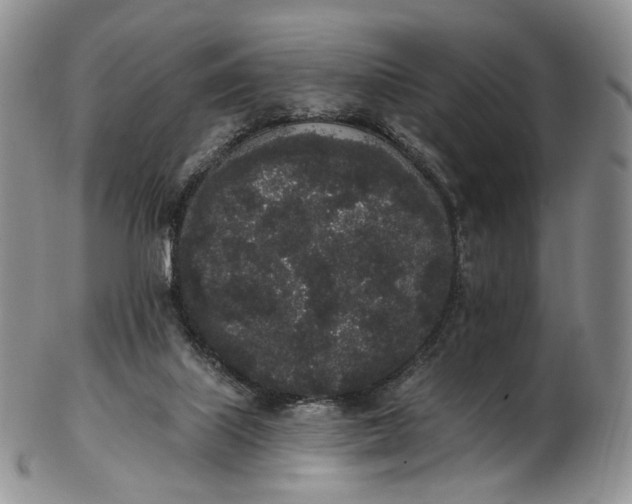 X0000102810067200809021208