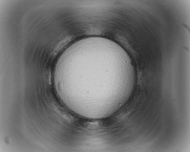 X0000102810068200809021208