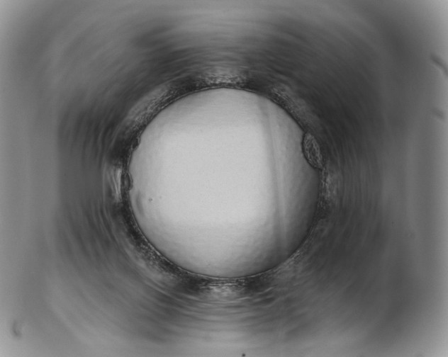 X0000102810070200809021208