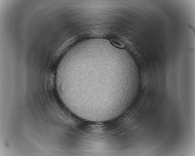 X0000102810071200809021208