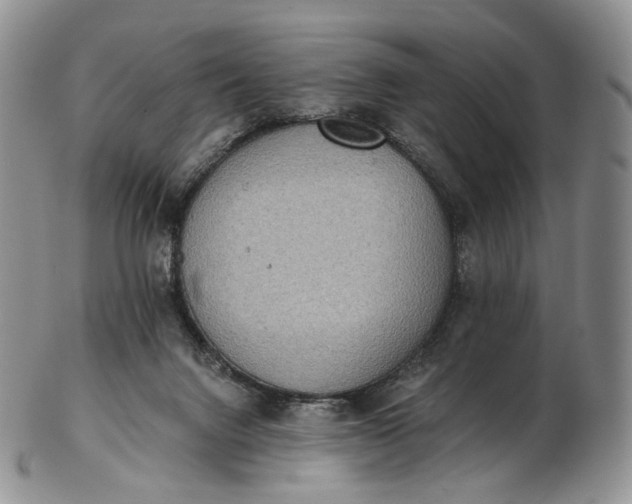 X0000102810072200809021208