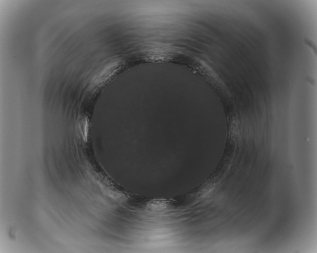 X0000102810076200809021208