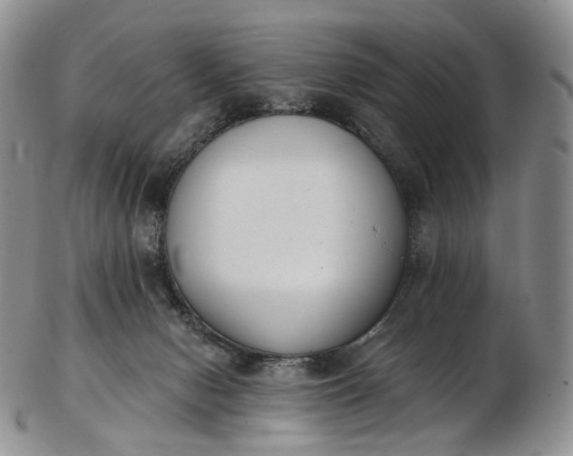 X0000102810078200809021208