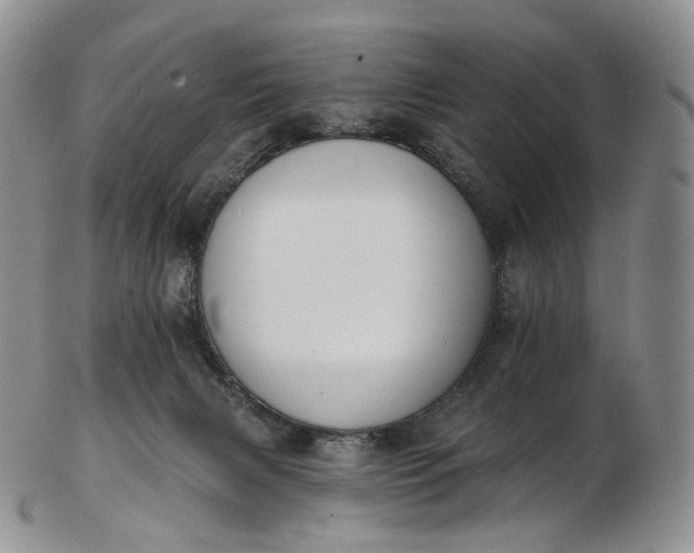 X0000102810079200809021208