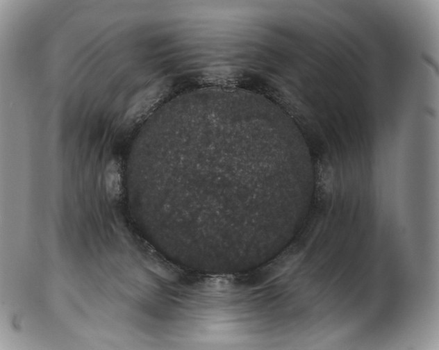 X0000102810080200809021208