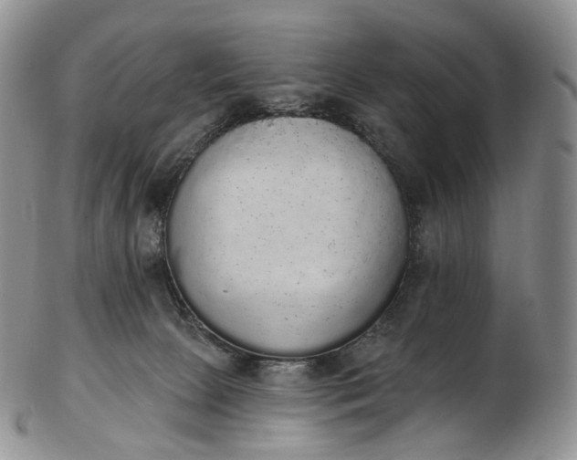 X0000102810081200809021208