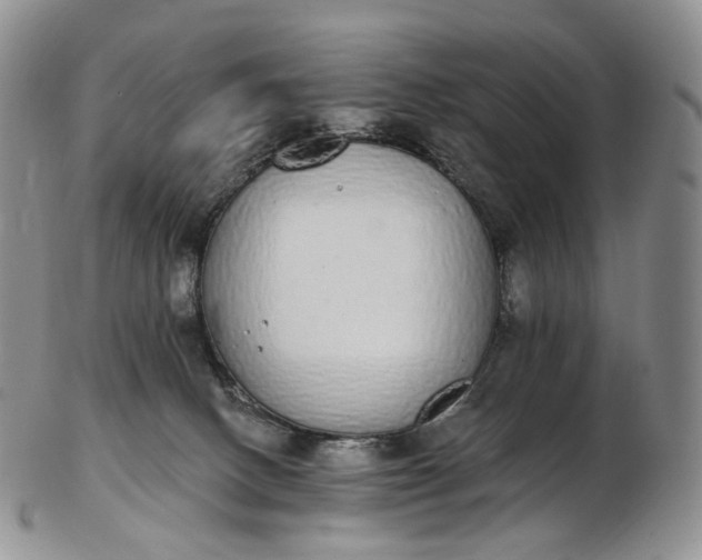 X0000102810082200809021208