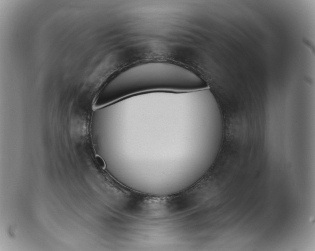 X0000102810084200809021208