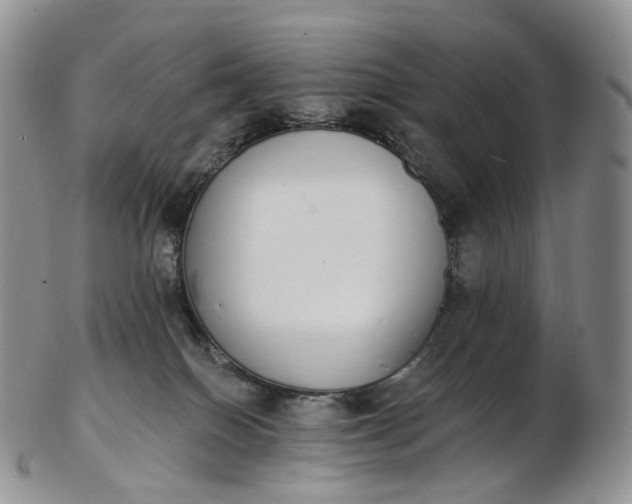 X0000102810086200809021208